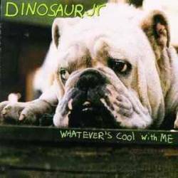 Dinosaur Jr. : Whatever's Cool with Me